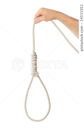 Rope with hangman noose Rope with hangman noose 14531951