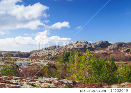 Norwegian mountain landscape with cloudy sky 14532049