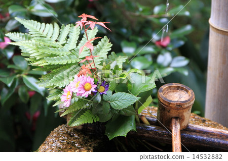 芬陀研究所 14532882