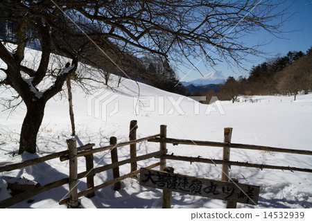 Mt. Fuji from the Marukawa Pass 14532939