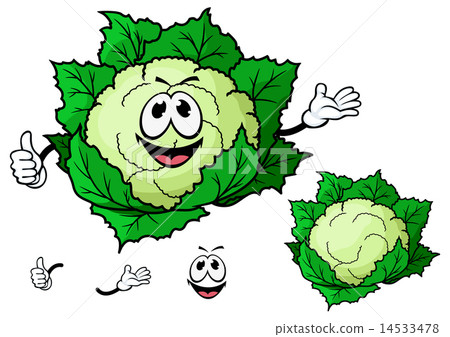 Happy smiling cartoon cauliflower vegetable 14533478