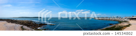 Coastline of atlantic ocean. Uruguay. Montevideo Coastline of atlantic ocean. Uruguay. Montevideo 14534802
