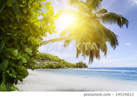 White coral beach sand and azure indian ocean. 14534813