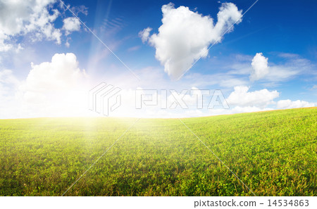 Green field under in gold sunrise beam Green field under in gold sunrise beam 14534863