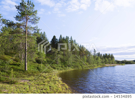 Green coast of blue lake. Kola Peninsula 14534895