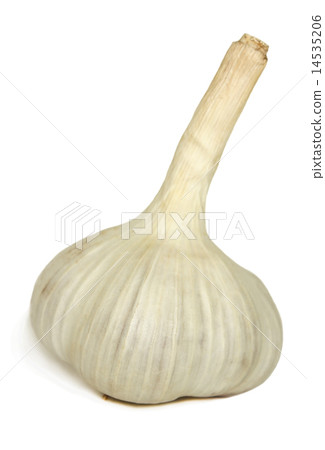 The head of garlic 14535206