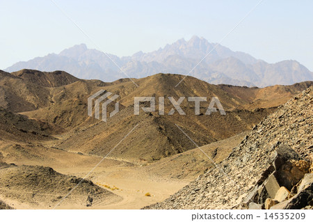 The mountains of the Red Sea 14535209