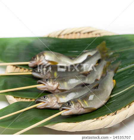 Natural ayu 14535707