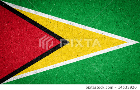 Guyana flag on paper background 14535920