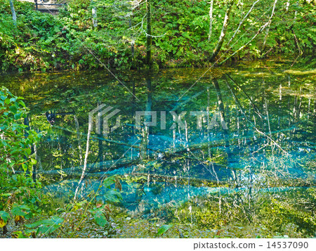 God's Pond God's Pond 14537090