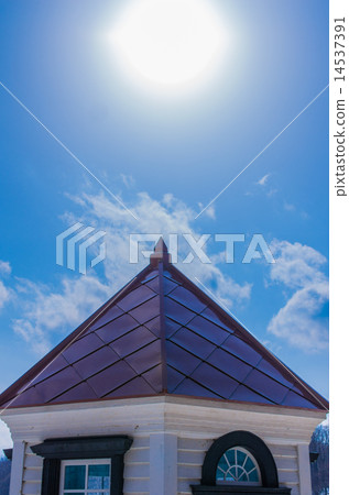 Forest waiting for spring Forest waiting for spring 14537391