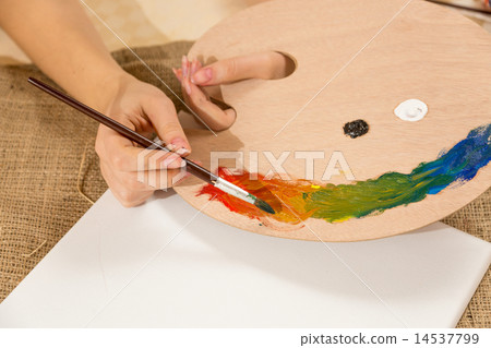 Macro photo of young female artist dipping paintbrush in paint Macro photo of young female artist dipping paintbrush in paint 14537799