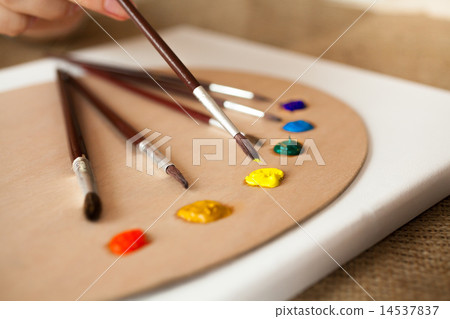 professional paintbrushes lying on pallet dipped in oil paint professional paintbrushes lying on pallet dipped in oil paint 14537837
