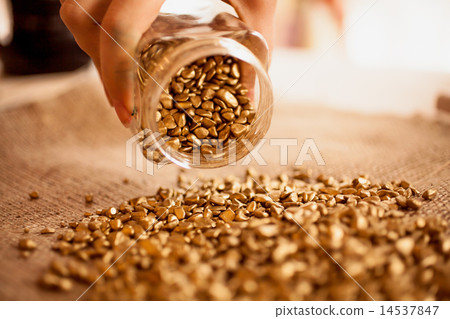 Closeup photo of man pouring out jar full of golden nuggets 14537847