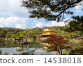 Kinkakuji 14538018