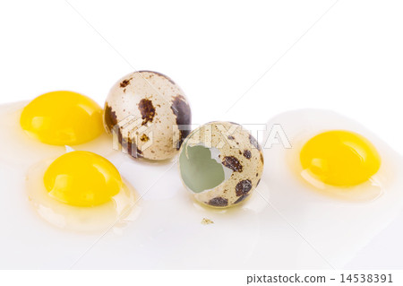 Broken quail eggs 14538391