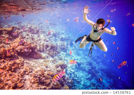 Snorkeler Maldives Indian Ocean coral reef. Snorkeler Maldives Indian Ocean coral reef. 14538761