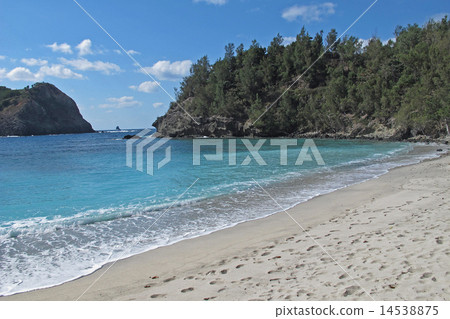 Chichijima,小笠原群島的Copape海岸 Chichijima,小笠原群島的Copape海岸 14538875