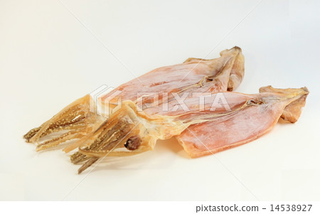 Squid 14538927