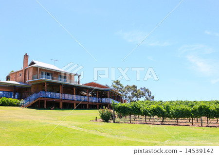 天鵝谷的釀酒廠之一 14539142