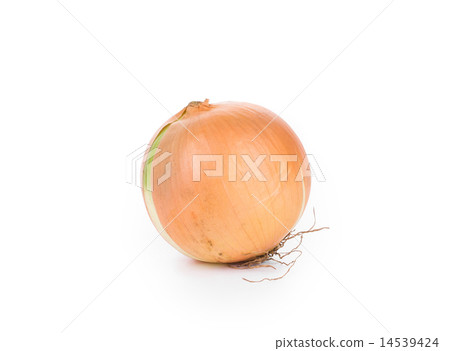 Close up of ripe onion. Close up of ripe onion. 14539424
