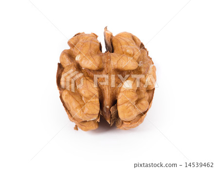 Kernel walnut. Kernel walnut. 14539462