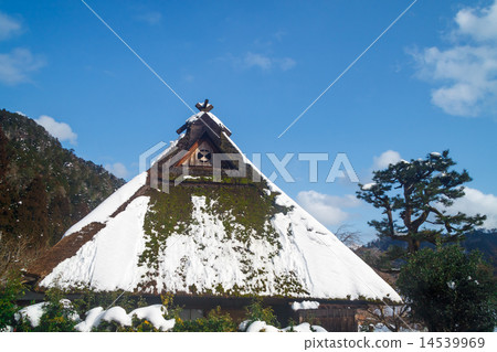 雪克勞福德屋頂 14539969