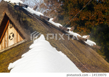 雪克勞福德屋頂 14539970