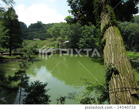 Yakushiya Park（町田市） 14540718