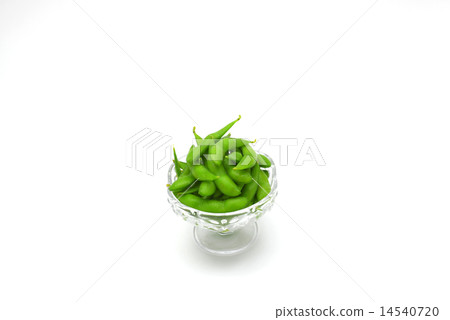 毛豆 14540720