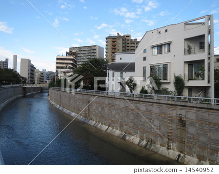 Townscape along the Kanda River (Honmachi, Shibuya-ku) 14540952
