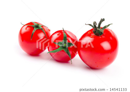fresh tomatoes fresh tomatoes 14541133