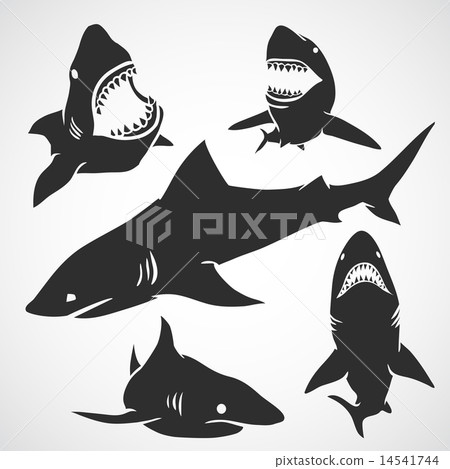 Set of Sharks Set of Sharks 14541744
