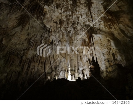 Carlsbad Caverns National Park Carlsbad Caverns National Park 14542365