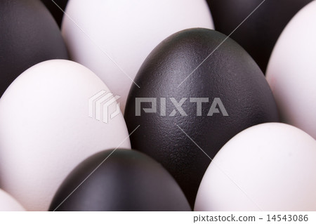 business concept background  14543086