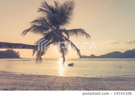 Tropical beach at Mahe island Seychelles Tropical beach at Mahe island Seychelles 14543106