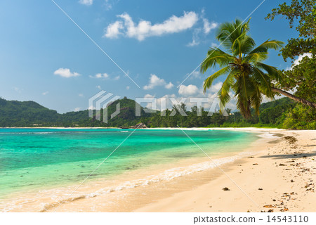 Tropical beach at Mahe island Seychelles Tropical beach at Mahe island Seychelles 14543110