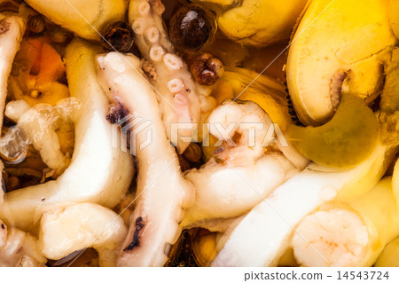 background mix of seafood background mix of seafood 14543724