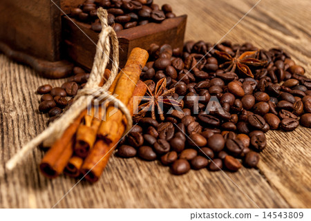 Ancient grinder Ancient grinder 14543809