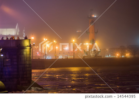 Rostral column 14544395