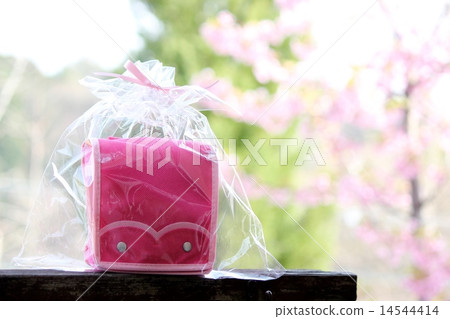 school bag  14544414