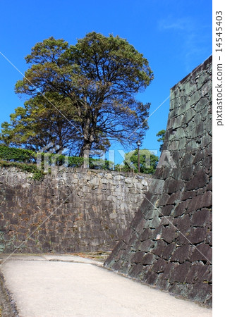 Ishigaki and passageway of Kumamoto castle Ishigaki and passageway of Kumamoto castle 14545403