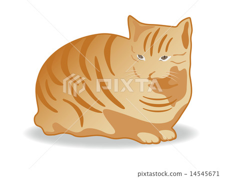 Tiger cat Tiger cat 14545671