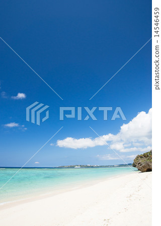 在沖繩海灘·瀨戶海灘 14546459