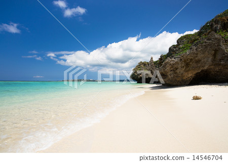 在沖繩海灘·瀨戶海灘 14546704
