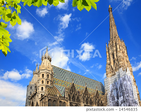St. Stephan cathedral in Vienna 14546835