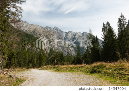 Mountain View 14547004