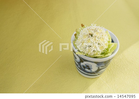 Fukinoenno inserted in Inoguchi Fukinoenno inserted in Inoguchi 14547095