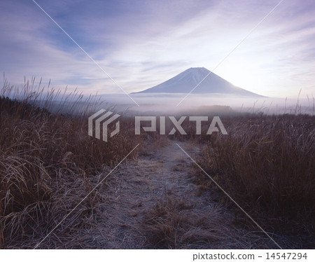 "World cultural heritage" Mt. Fuji and sunrise / "Fuji-Hakone Izu national park" from the morning fog high where morning fog and morning frost can fall 14547294