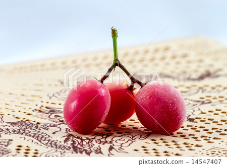 Carissa carandas L. tropical fruit  14547407